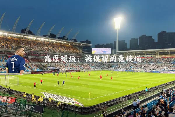 高原球场:被误解的竞技场